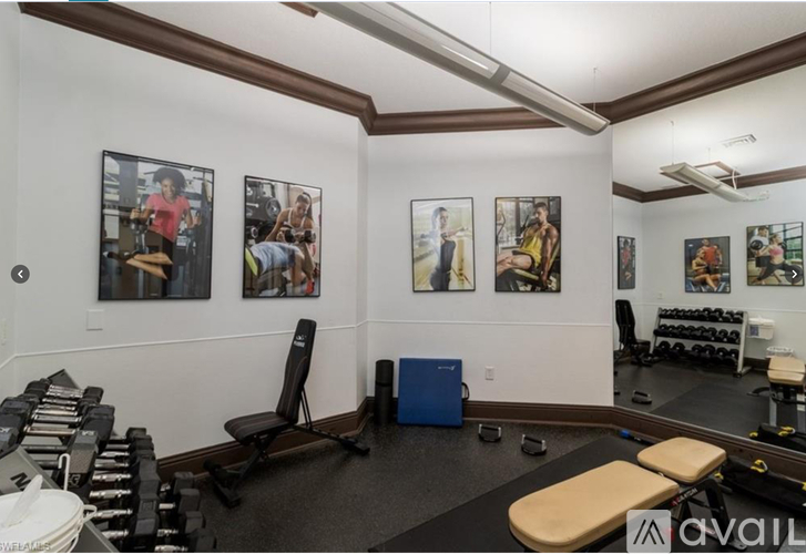 A gym room with a variety of equipment including dumbbells, weight plates, and a bench.
