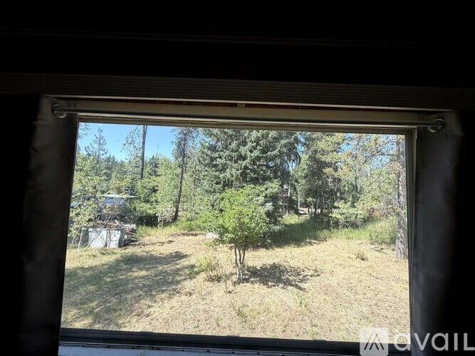 A tree is in the middle of a grassy area.