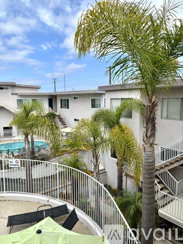A pool surrounded by palm trees and a white fence.