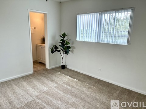 A room with a carpet, a plant, and a window with blinds.