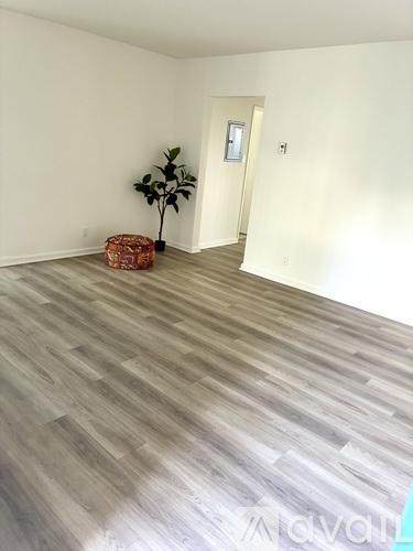 A room with a wooden floor and a plant in a pot.