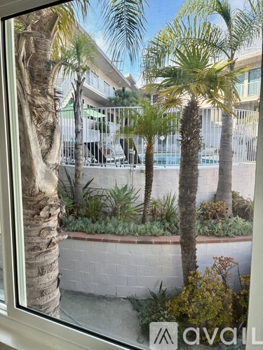 A view of a pool area through a window with palm trees and a building in the background.