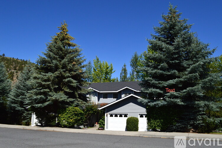 A house with a garage is surrounded by trees.