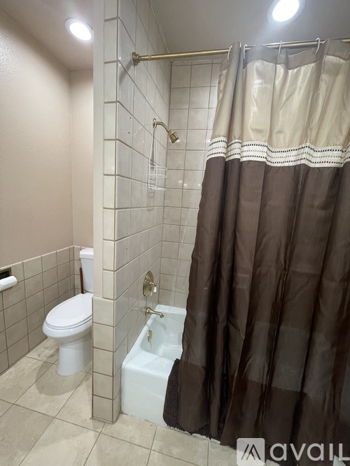 A bathroom with a white toilet and a shower with a brown curtain.