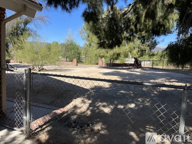 A backyard with a fence and trees.