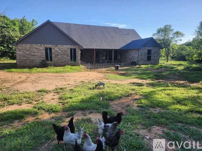 Chickens are in the foreground of a house with a grassy yard.