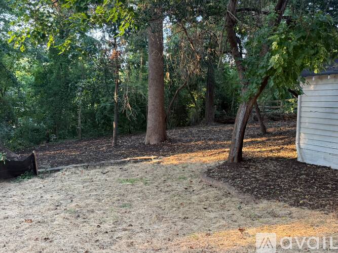 A backyard with a shed and trees.
