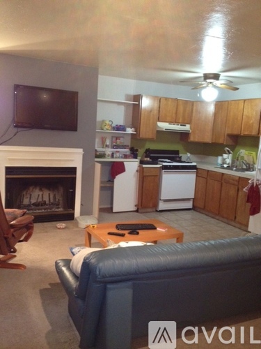 A living room with a fireplace and a television.