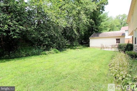 A backyard with a house and trees.