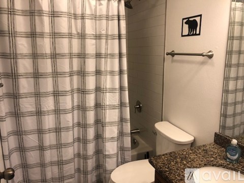 A bathroom with a toilet, sink, and shower curtain.