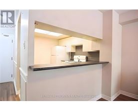 A kitchen area with a counter and a fridge.