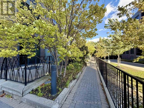 A tree-lined walkway in front of a building.