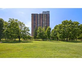 A grassy field with trees and a tall building in the background.