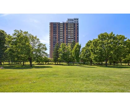 A grassy field with trees and a tall building in the background.