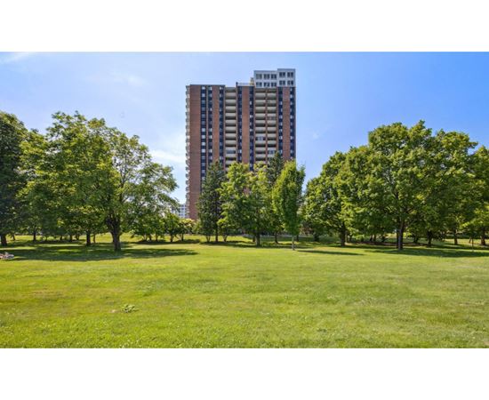 A grassy field with trees and a tall building in the background.