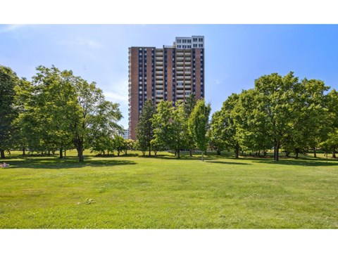 A grassy field with trees and a tall building in the background.