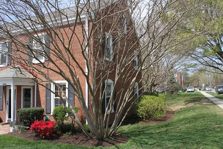3066 S Abingdon St 2 Beds Condo for Rent - Photo gallery 1