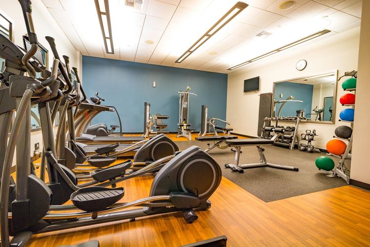 A gym with treadmills, exercise balls, and other equipment.