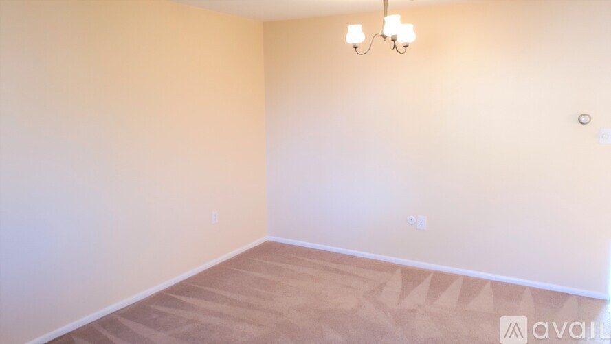 918 South Logan Street 1 Apartment for Rent - Photo gallery 2