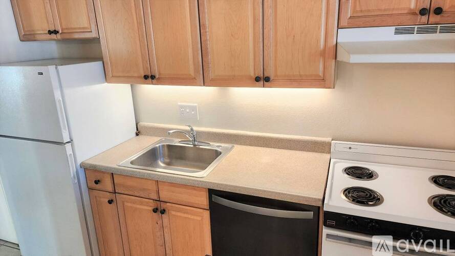918 South Logan Street 1 Apartment for Rent - Photo gallery 3