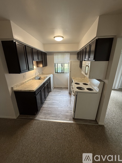 266 East Thirteen Mile Road 1 Apartment for Rent - Photo gallery 4