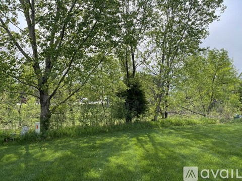 2539 Telluride Cir 3 Beds Apartment for Rent