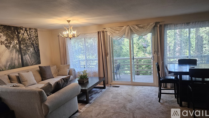 536 Rose Lane 3 Beds Single Family Home for Rent - Photo gallery 5