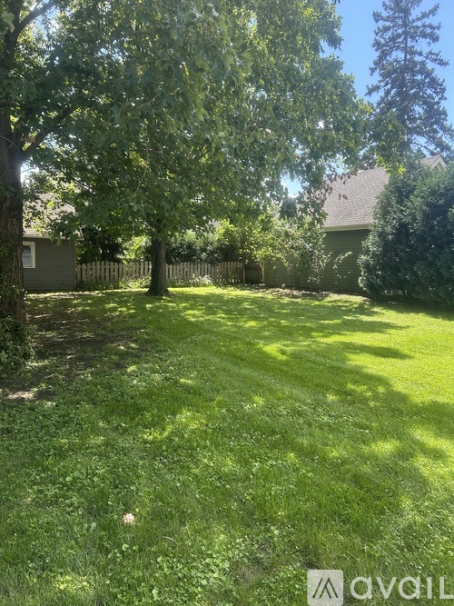 A backyard with a lawn and trees.