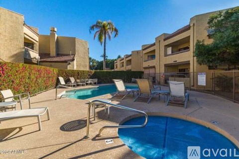 A pool area with lounge chairs and a palm tree.
