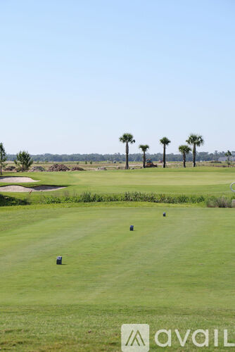 A golf course with a clear blue sky and palm trees in the distance.