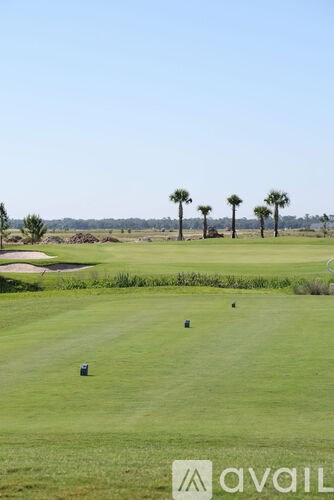 A golf course with a clear blue sky and palm trees in the distance.