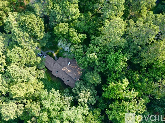 A bird's eye view of a house surrounded by trees.