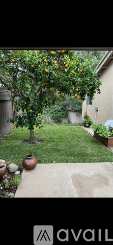 4665 Kleefeld Avenue Studio Apartment for Rent - Photo gallery 2