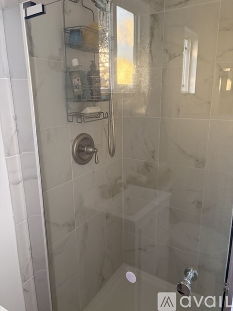 A shower area with a glass door and a glass shelf with bottles.