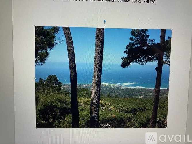 14 Ocean Pines Lane 2 Beds Condo for Rent - Photo gallery 2