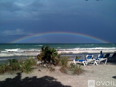 A rainbow appears over a beach with chairs and plants.
