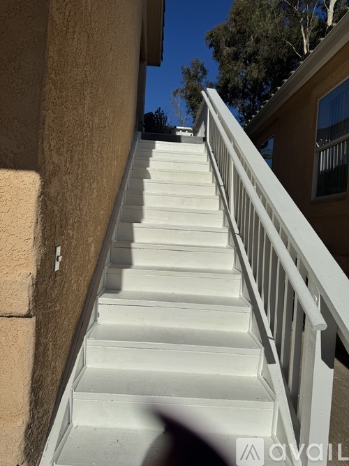 1511 Maxwell Lane 1 Apartment for Rent - Photo gallery 3