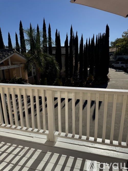 1511 Maxwell Lane 1 Apartment for Rent - Photo gallery 4