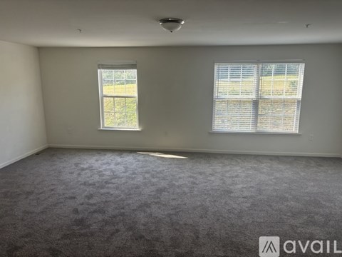 A room with a grey carpet and two windows.