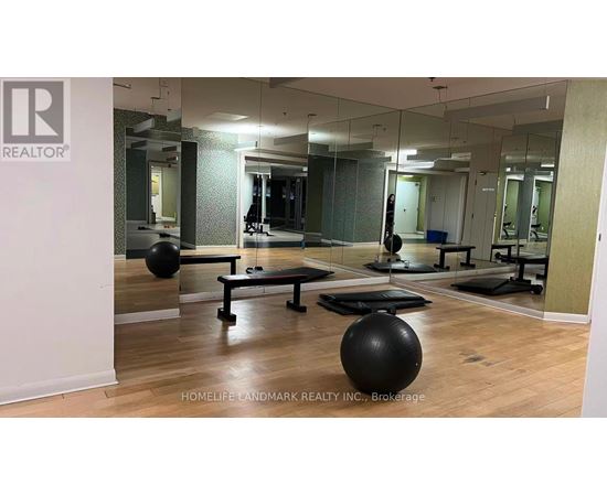 A gym with a mirror, weights, and exercise balls.