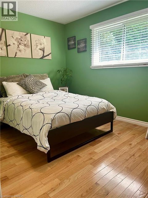 A bedroom with a bed, a window with blinds, and a plant.