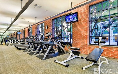 A gym with a row of chin-up bars and a bench.