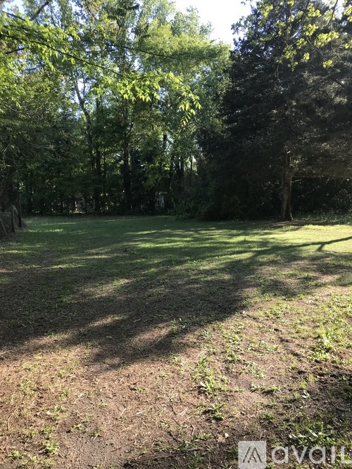 A grassy field with trees in the background.