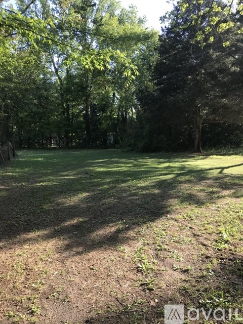A grassy field with trees in the background.