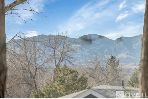 A mountain range is seen through the trees in the distance.