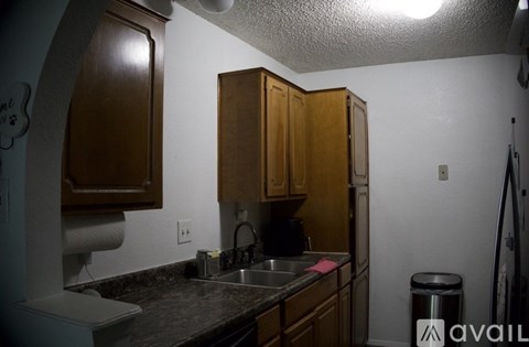 A kitchen with wooden cabinets and a sink.