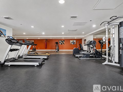 A gym with treadmills, elliptical machines, and weights.