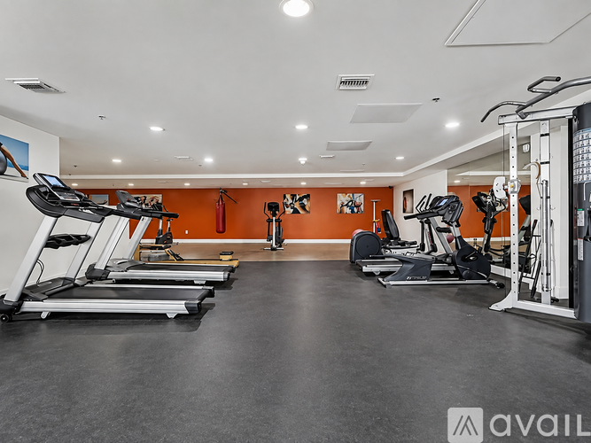 A gym with treadmills, elliptical machines, and weights.