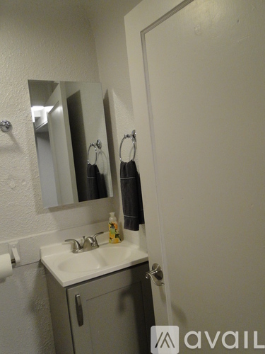 503 S Chestnut St 2 Beds Apartment for Rent - Photo gallery 5