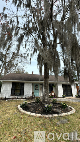 A tree with Spanish moss hanging from its branches in front of a white house.